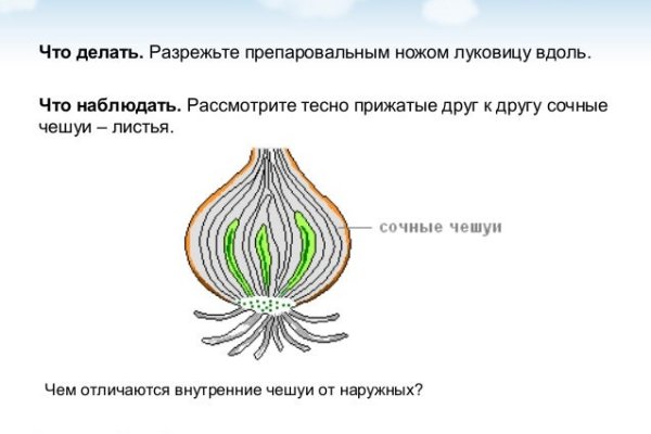 Свежие ссылки кракен