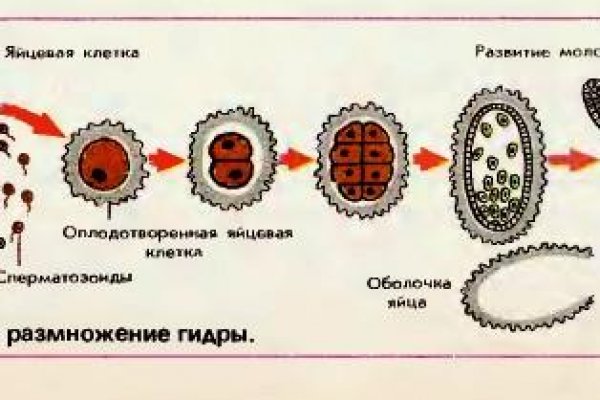 Кракен сайт купить наркотики