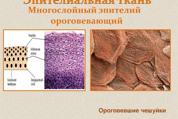 Как зарегаться на кракене